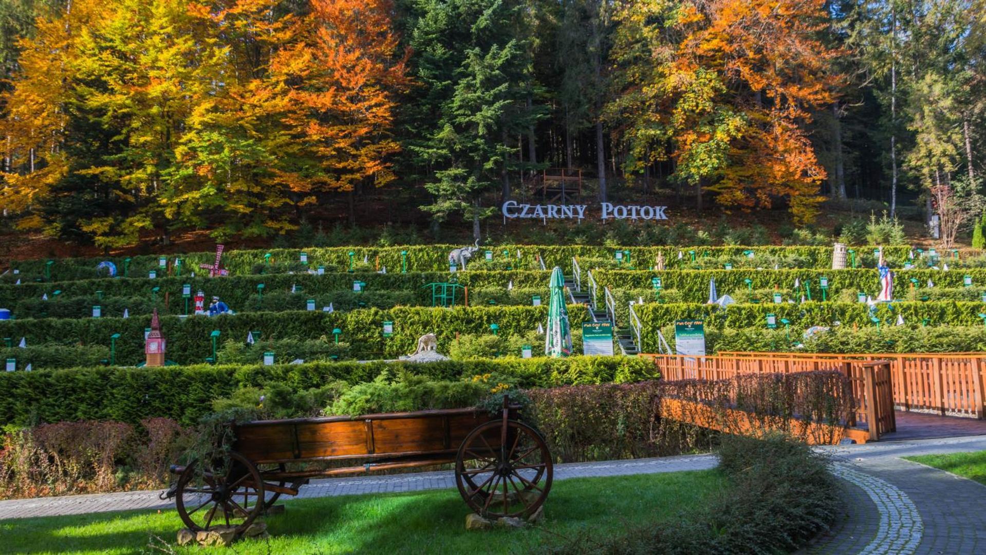 Hotel Czarny Potok Resort Spa & Conference Krynica Zdroj Bagian luar foto